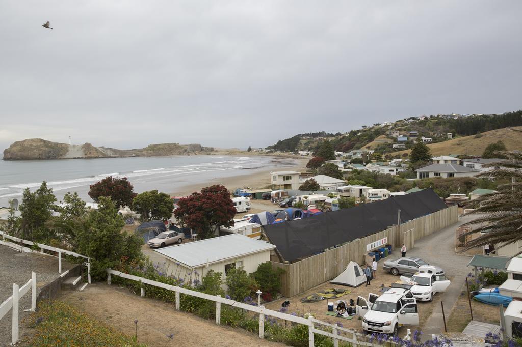 Castlepoint Holiday Park & Motels المظهر الخارجي الصورة